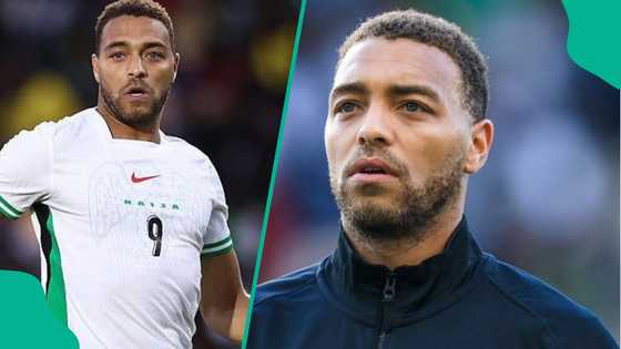 AFCON winner wants bigger role for Cyriel Dessers in Super Eagles after goal vs Ghana