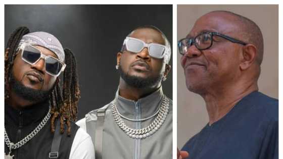 2023 presidency: P-Square backs out of Peter Obi's presidential rally