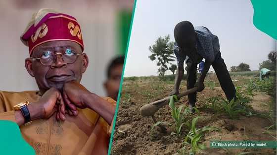 Federal Government launches new programme to boost food production