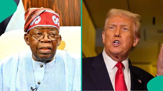 Journalist names 2 Nigerian ministers who should change portfolios to appease Donald Trump