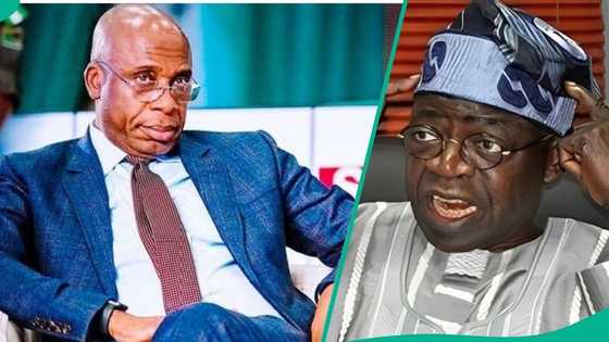 Hardship: "Nigerians yearn for Buhari’s return": Amaechi shades Tinubu, mentions what should happen in 2027