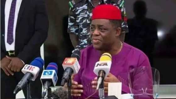 Ina Tare Da 'Aladu' Ne Lokacin Da Na Soki Tinubu, Fani-Kayode