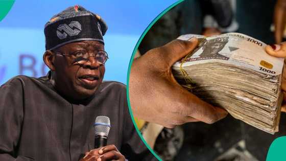 FG set to serve as loan guarantor for Nigerians, details emerge