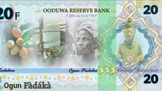 Promoters of Oduduwa Republic unveil new currency, details and photo emerge