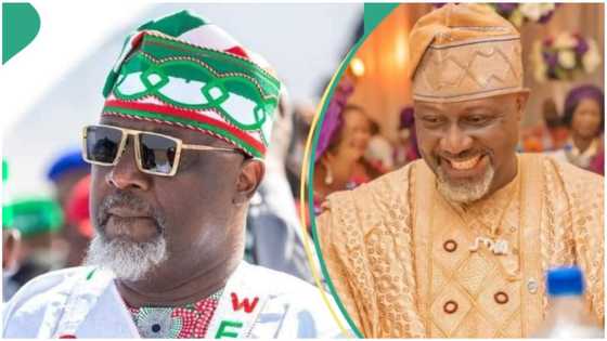 Is this SDP logo? Dino Melaye's outfit fuels defection rumours amid PDP crisis