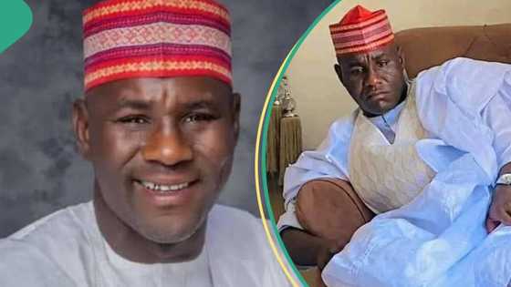 Tribunal sacks second NNPP House of Reps member In 24 hours