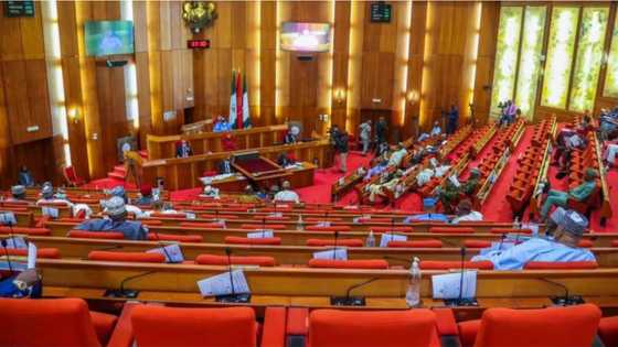 15 APC senators take decision on defection ahead of 2023