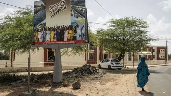 Senegal to elect parliament in important test for presidential vote