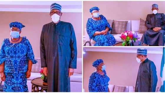 Photos emerge as Buhari meets WTO DG, Okonjo-Iweala in New York