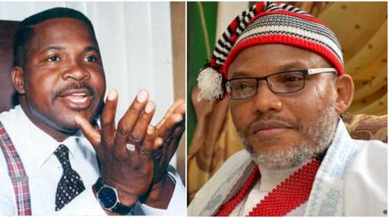 “Kanu’s acquittal too complex for human understanding”, says Ozekhome
