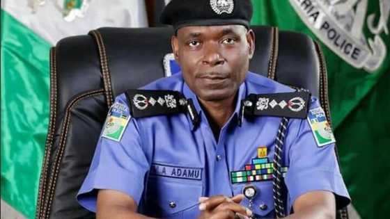 Edo election: IGP deploys 10 high ranked officers to maintain security