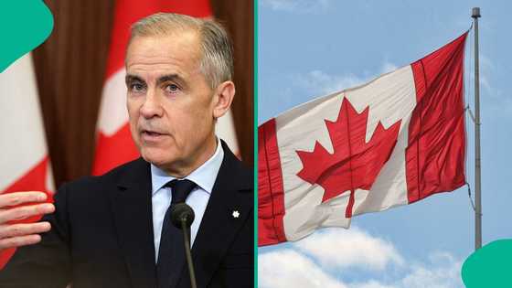 Canadian govt announces fresh job opportunity for Nigerians, others, releases link to apply