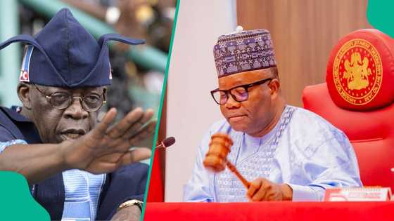 Just In: 2 prominent Nigerian senators who defected meet Tinubu