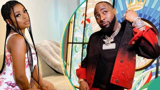 More drama as Sophia Momodu takes legal action against Davido, issues cease and desist letter