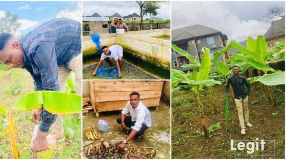 "Youths should go back to the farms": 26-year-old Nigerian graduate who earns a living as farmer gives reasons