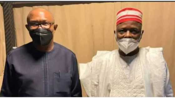 Kawancen NNPP-LP: Kwankwaso zai iya komawa mataimakin Peter Obi a zaben 2023