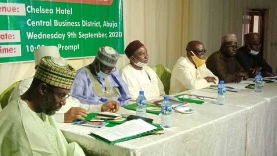 CNG ta goyi bayan Sheikh Gumi na neman gwamnati ta yi wa yan bindiga afuwa
