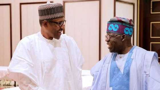 2023: Tinubu, Buhari agreed on power shift to southwest, says Lagos APC chieftain reveals