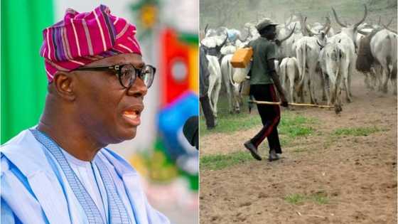 Lagosians consumes 1.8m heads of cattle annually, Says Commissioner