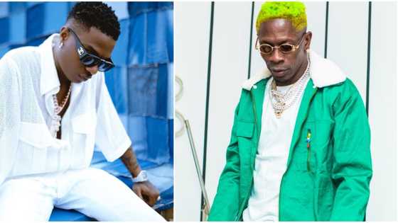 We're all the same, Wizkid says in reaction to Shatta Wale's 'bitter' rant during sold-out concert in Ghana