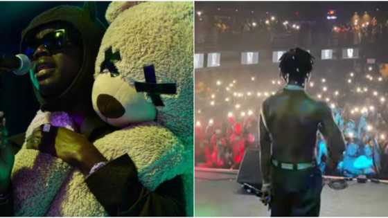 Rema stands and watches in excitement as huge US crowd performs his hit song Calm Down to him, Nigerians react