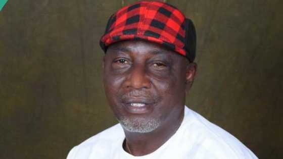 Just in: Senate appoints Abba Moro minority leader