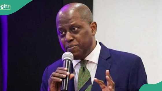 'Da yanzu abinci ya gagari talaka': Yadda CBN ya ceto tattalin Najeriya a 2024