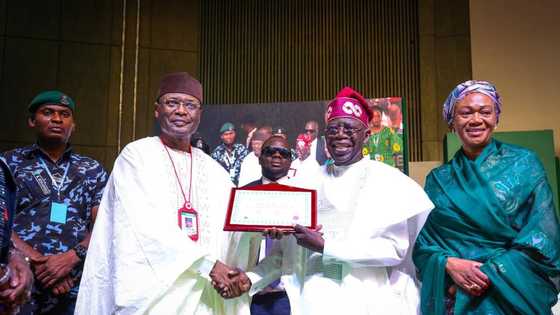 2023: Ohanaeze Ndigbo finally reacts to presidential election results, sends strong message to UN, others