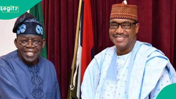 Bayan ya koma APC, Tinubu ya ba tsohon gwamnan Katsina, Ibrahim Shema muƙami