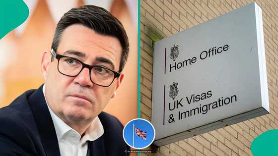 UK standard visitor visa: 11 things foreigners are allowed to do in Britain