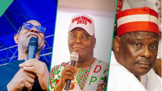 S'Court verdict: Why Atiku, Obi, Kwankwaso must merge to save democracy ahead of 2027, group reveals