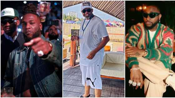 "Jokers": Burna Boy reacts to N5million bounty placed on his fan by Paulo for insulting Davido, many respond