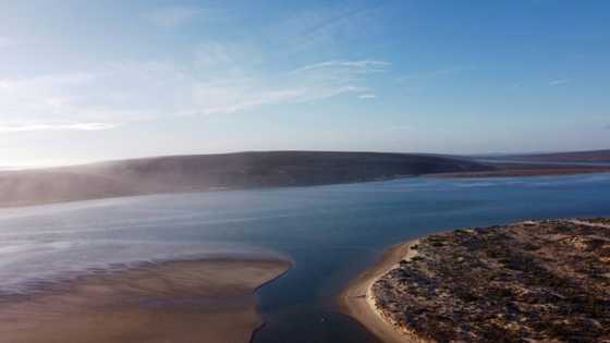 Surfers, miners fight over South Africa's white beaches