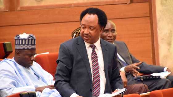 Shehu Sani advises workers on how to deal with govs who refuse 30k minimum wage