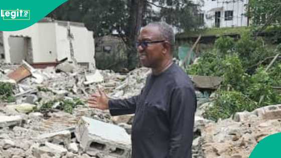Rubdugu kan 'yan adawa: An rusa kamfanin kanin Peter Obi bayan cire rawanin Atiku