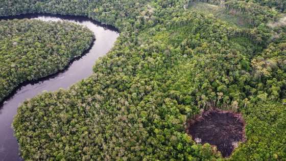 UN aims to set standards for scandal-hit carbon markets
