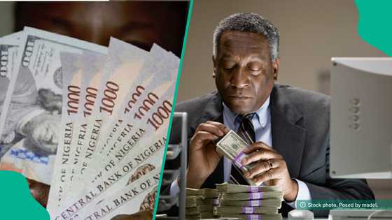 Platform set to launch currency market, allows traders exchange currencies directly without USD