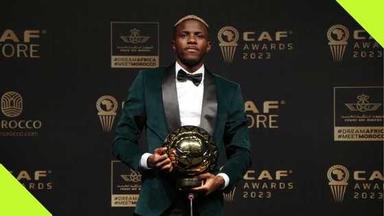 Ex footballer tips Super Eagles star to succeed Victor Osimhen as African Best