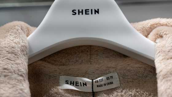 Seoul authorities find toxic substances in Shein and Temu products