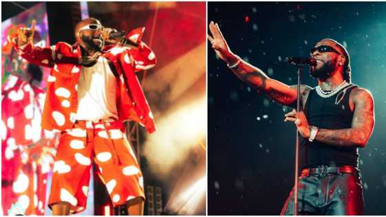 “He wan replicate am”: Man taunts Davido over video of live performance, claims he’s trying to copy Burna Boy