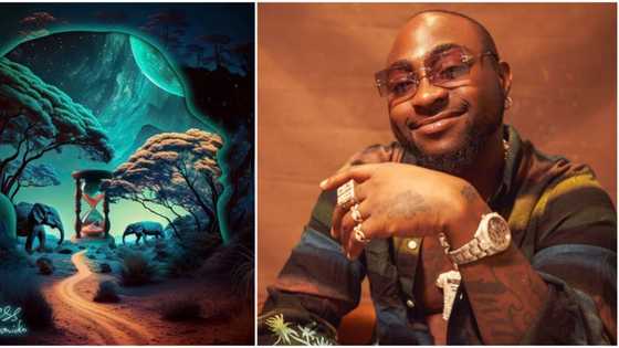 Jubilation as Davido’s Timeless makes it to Rolling Stone’s Best 2023 albums so far: "The Godfather"