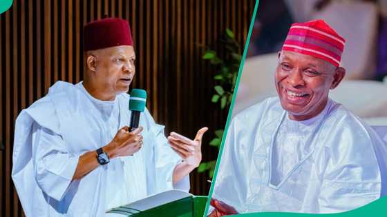 Abin da Shettima ya fadi ga Abba Kabir yayin ta'aziyya kan bambancin siyasa a Kano