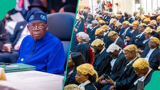 Jubilation as Tinubu approves establishment of new Court of Appeal, location emerges