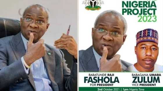 2023: Fashola ya yi magana kan rade-radin tsayawa takarar Shugaban kasa da Zulum