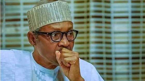 Labari Da Ɗumi-Ɗumi: Afenifere Ta Buƙaci Buhari Ya Yi Murabus