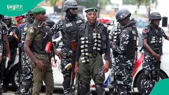 Ogun: Police arrest secondary school students during cult initiation