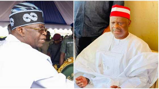 Buhari's ally sends strong warning message to Tinubu over Kwankwaso