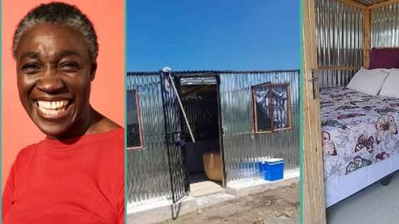 "It doesn't cost much": Lady displays portable house built with zinc and wood, photos trend online
