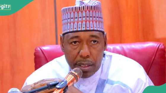 Zulum raises alarm over resurgence of Boko Haram: “Entire Nigeria may be wiped off”