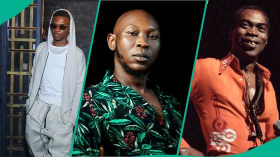 Wizkid resumes dragging Seun Kuti in fiery tweets, FC reacts: "Idolo cook pass Hilda Baci"